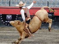 /album/charros/images-6-jpg/